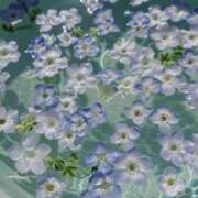 ヒメ日記 2026/09/27 17:16 投稿 平野ふうか ミセスレディ