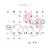 しらたま(単体AV女優) ごーばっくしらたま EIGHT（エイト）～8つのお約束と無限の可能性～