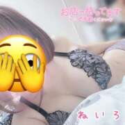 ヒメ日記 2026/06/10 12:31 投稿 ねいろ ラブコレ