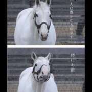 ヒメ日記 2026/06/09 19:32 投稿 みつり 桃李（とうり）