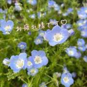 ヒメ日記 2026/06/07 01:39 投稿 雪村 吉乃 ELEGANCE