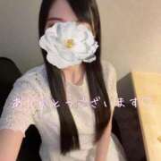 ヒメ日記 2026/06/11 00:59 投稿 雪村 吉乃 ELEGANCE