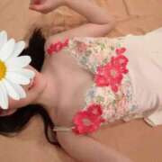 ヒメ日記 2026/06/24 06:09 投稿 雪村 吉乃 ELEGANCE
