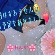 れんか 今日は、、😭 One More 奥様　錦糸町店