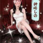 ヒメ日記 2026/07/30 07:01 投稿 神崎 しの 厚木人妻花壇