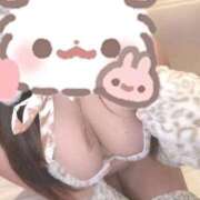 ヒメ日記 2026/06/24 02:29 投稿 はるか 蒲田ちゃんこ