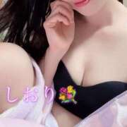 ヒメ日記 2026/06/25 08:52 投稿 しおり 素人妻達☆マイふぇらレディー