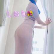 ヒメ日記 2026/07/27 08:48 投稿 しおり 素人妻達☆マイふぇらレディー