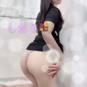 ヒメ日記 2026/07/27 22:18 投稿 しおり 素人妻達☆マイふぇらレディー