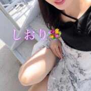 ヒメ日記 2026/08/12 08:00 投稿 しおり 素人妻達☆マイふぇらレディー