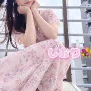 ヒメ日記 2026/09/22 22:48 投稿 しおり 素人妻達☆マイふぇらレディー