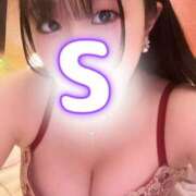 ヒメ日記 2026/06/12 12:00 投稿 しき ベイビーモコ