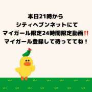 ヒメ日記 2026/06/17 15:00 投稿 しき ベイビーモコ
