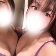 ヒメ日記 2026/09/04 12:00 投稿 しき ベイビーモコ