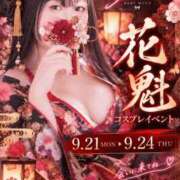 ヒメ日記 2026/09/17 18:03 投稿 しき ベイビーモコ