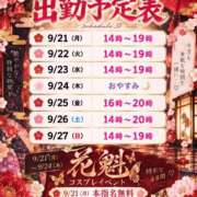 ヒメ日記 2026/09/18 21:02 投稿 しき ベイビーモコ