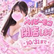 ヒメ日記 2026/10/23 15:01 投稿 しき ベイビーモコ