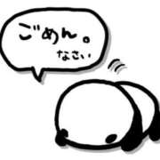 ヒメ日記 2026/08/27 11:28 投稿 橘（たちばな） あさがお