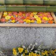 ヒメ日記 2026/10/01 13:10 投稿 ともか 奥様特急新潟店