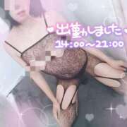 ヒメ日記 2026/06/14 14:27 投稿 江口　かずみ ブカチョハイパー