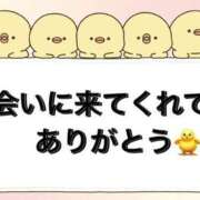 ヒメ日記 2026/06/15 11:17 投稿 ひな【規格外の癒しをお届け♡】 LIPS(リップス)