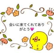 ヒメ日記 2026/06/16 00:42 投稿 ひな【規格外の癒しをお届け♡】 LIPS(リップス)