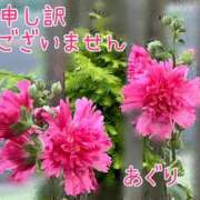 ヒメ日記 2026/07/04 08:07 投稿 あぐり 熟女家 堺東店