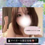 ヒメ日記 2026/06/07 00:35 投稿 如月ちはや ブルーバード
