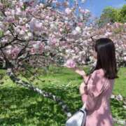 ヒメ日記 2026/06/06 09:04 投稿 ☆咲愛【さくら】☆ CLUB MUTEKI大阪本店