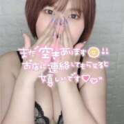 せつな 💘デリバリー屋さん 激安ソープの殿堂　ボイン・ホーテ