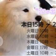 ナナ シフト(＞ω＜)b ミセスClub