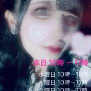 ヒメ日記 2026/06/29 09:45 投稿 ナナ ミセスClub