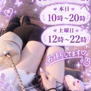 ヒメ日記 2026/10/15 09:25 投稿 ナナ ミセスClub