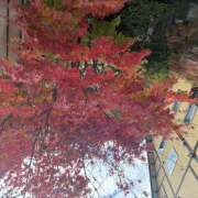 ヒメ日記 2026/10/21 09:20 投稿 ナナ ミセスClub