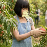 ヒメ日記 2026/07/19 17:09 投稿 すみれ 熟女ばかり