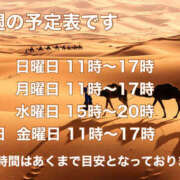 ヒメ日記 2026/09/05 22:19 投稿 すみれ 熟女ばかり