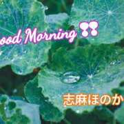ヒメ日記 2026/07/01 09:48 投稿 志麻穂香 五十路マダム愛されたい熟女たち岡山店（カサブランカグループ）