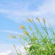 ヒメ日記 2026/08/20 09:30 投稿 志麻穂香 五十路マダム愛されたい熟女たち岡山店（カサブランカグループ）