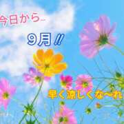 ヒメ日記 2026/09/01 09:28 投稿 志麻穂香 五十路マダム愛されたい熟女たち岡山店（カサブランカグループ）