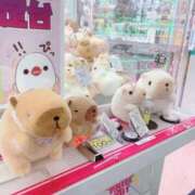 ヒメ日記 2026/07/23 17:49 投稿 あんじゅ ごほうびSPA 新宿店