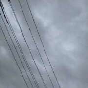 ヒメ日記 2026/09/25 09:28 投稿 五十嵐（いがらし） あさがお