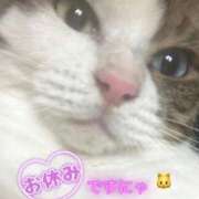 ヒメ日記 2026/09/13 13:01 投稿 橘 よしか プルプルオフィスディーバ