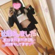 ヒメ日記 2026/09/12 12:13 投稿 ゆずりは モアグループ大宮人妻花壇
