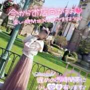 ヒメ日記 2026/06/19 10:44 投稿 ゆずりは モアグループ春日部人妻城