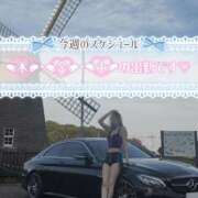 ヒメ日記 2026/10/11 12:05 投稿 ゆずりは モアグループ春日部人妻城