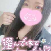 ヒメ日記 2026/06/08 00:02 投稿 里奈【新人】 Minx（ミンクス）