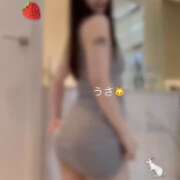 ヒメ日記 2026/06/07 00:42 投稿 うさ 千葉ミニスカM性感学園