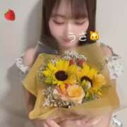 ヒメ日記 2026/07/05 08:57 投稿 うさ 千葉ミニスカM性感学園
