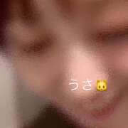 ヒメ日記 2026/08/12 19:09 投稿 うさ 千葉ミニスカM性感学園