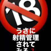 ヒメ日記 2026/08/27 22:28 投稿 うさ 千葉ミニスカM性感学園